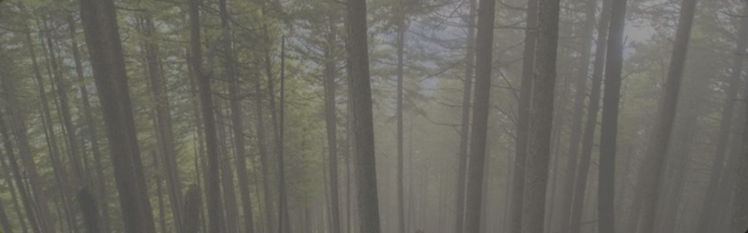 Deccan Holidays 8 nights 9 days Package With Daringbadi ( Kashmir Of Odisha )